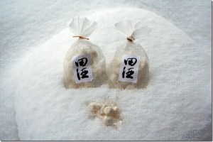 10665239_903794243049872_7873400668797118362_n