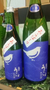 12507093_910582245704405_1695315075680750985_n