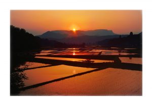 namashina_area